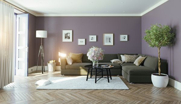 Renovation Painting