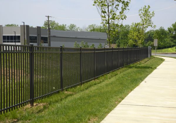 Business Fence Painting